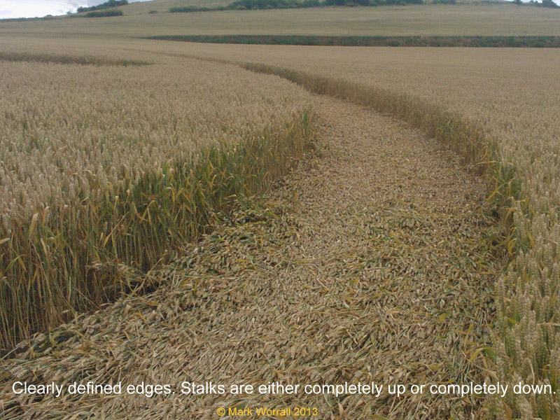 Monument Hill, Wiltshire crop circle, aerial photo 66