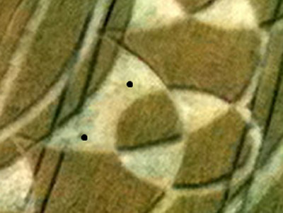 Monument Hill, Wiltshire crop circle, aerial photo 82