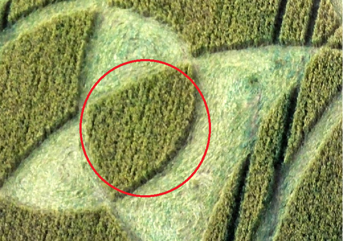 Monument Hill, Wiltshire crop circle, aerial photo 85
