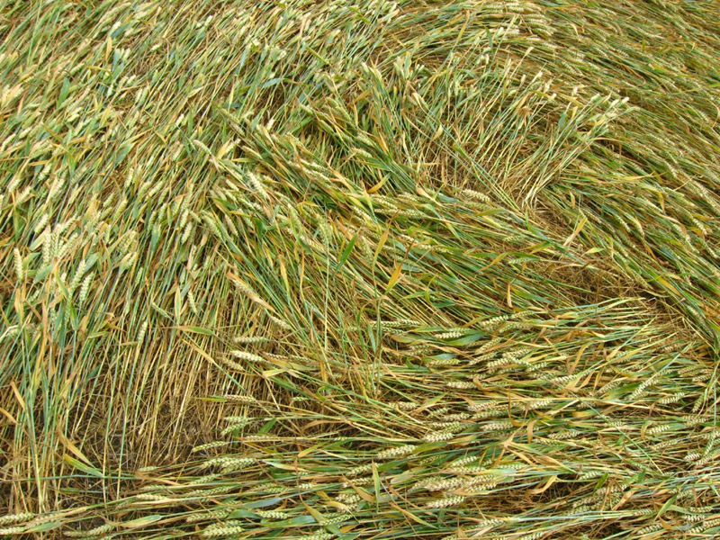 Monument Hill, Wiltshire crop circle, aerial photo 78