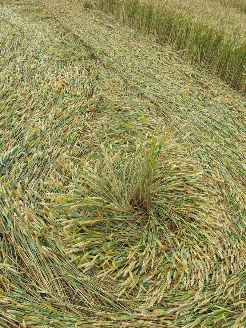 Monument Hill, Wiltshire crop circle, aerial photo 79