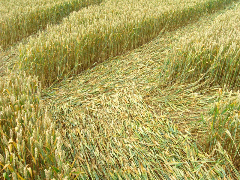 Monument Hill, Wiltshire crop circle, aerial photo 77