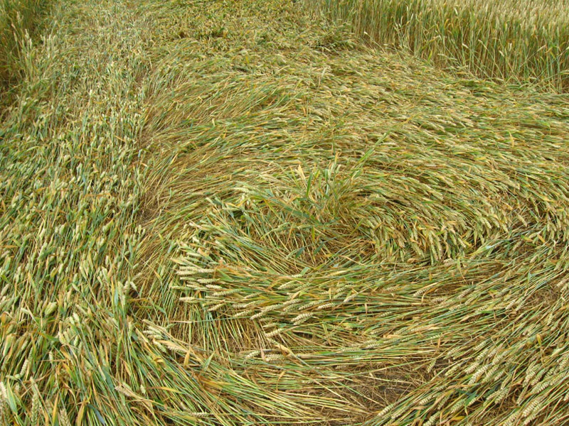 Monument Hill, Wiltshire crop circle, aerial photo 76