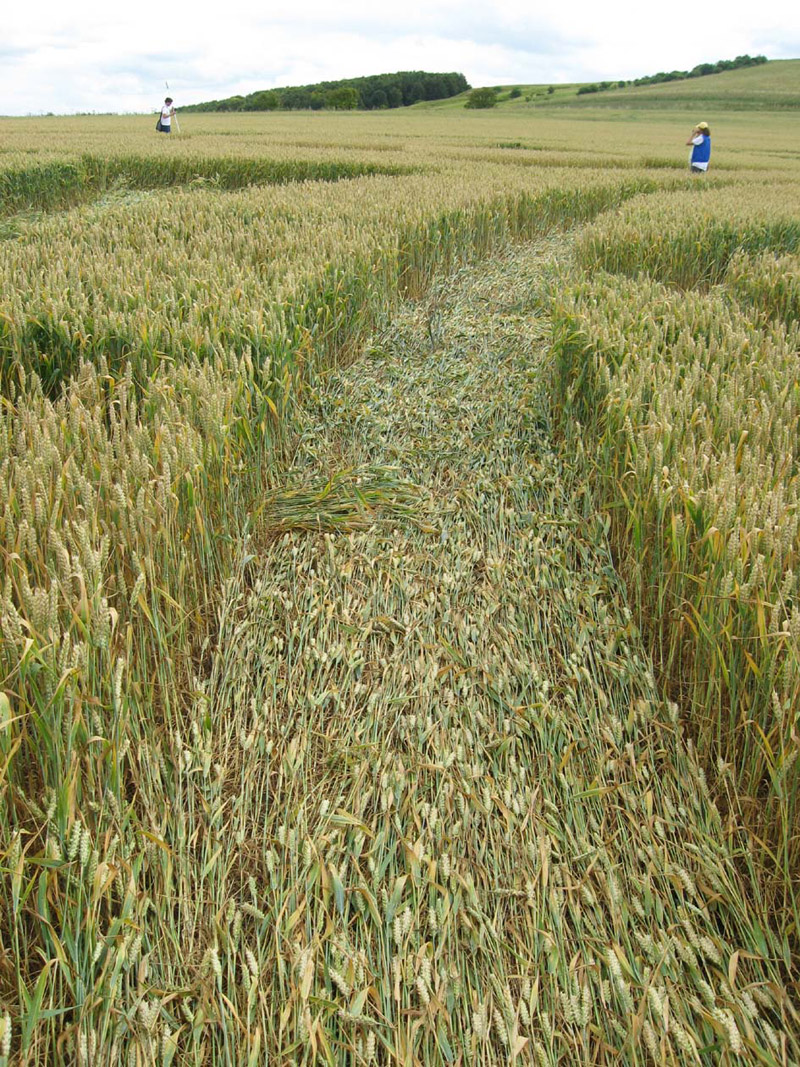 Monument Hill, Wiltshire crop circle, aerial photo 80