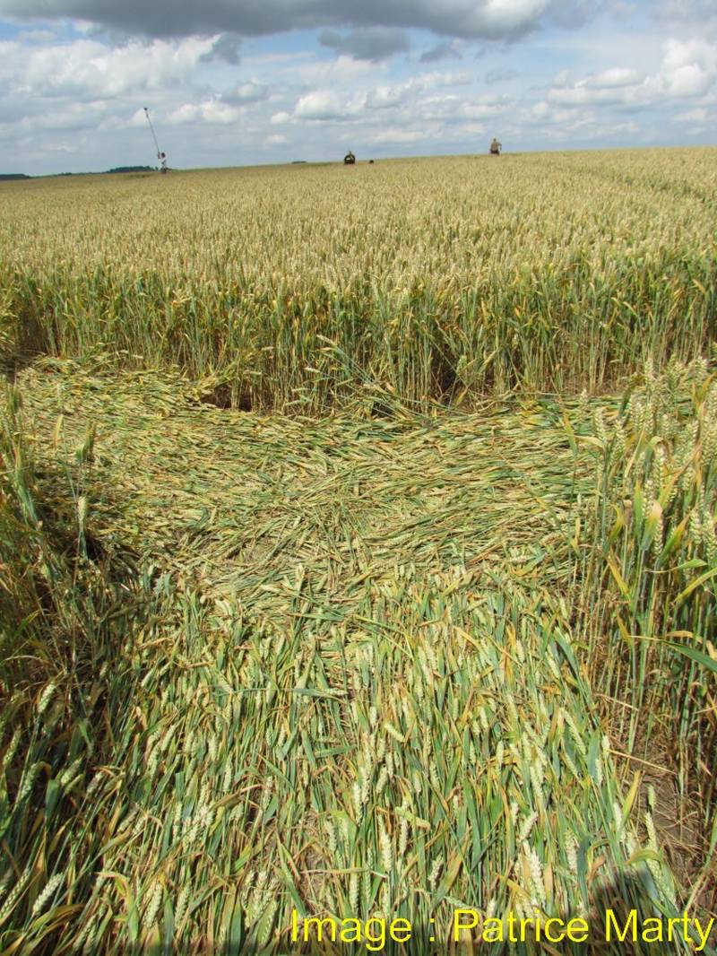 Monument Hill, Wiltshire crop circle, aerial photo 57