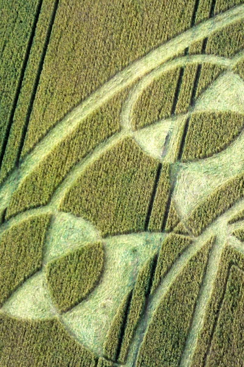 Monument Hill, Wiltshire crop circle, aerial photo 13