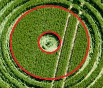 Avebury Trusloe, Wiltshire crop circle, aerial photo 114