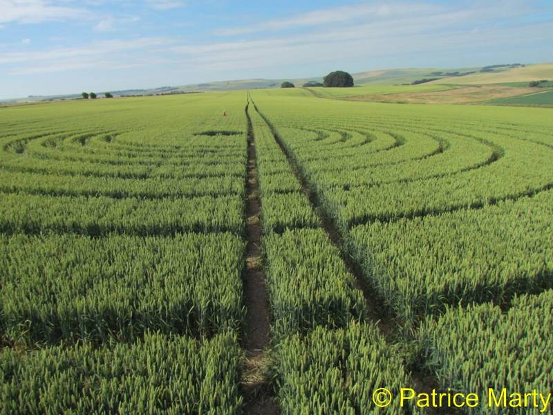 Avebury Trusloe, Wiltshire crop circle, aerial photo 143