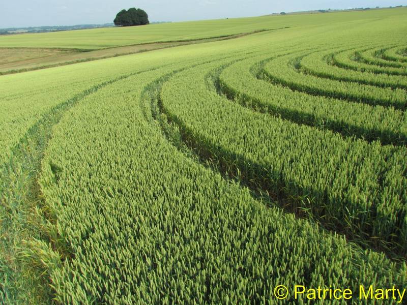 Avebury Trusloe, Wiltshire crop circle, aerial photo 147