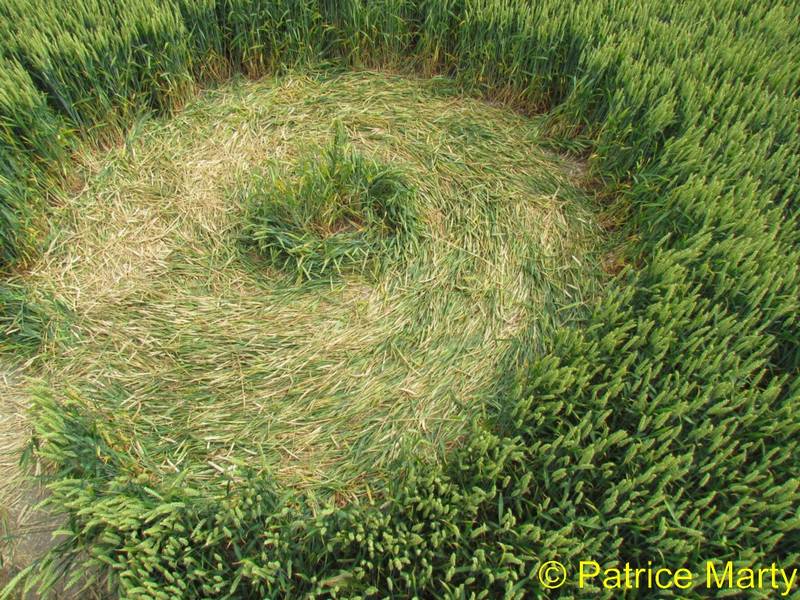 Avebury Trusloe, Wiltshire crop circle, aerial photo 150