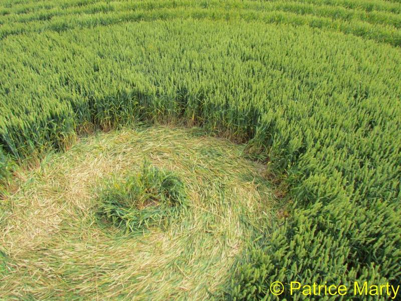 Avebury Trusloe, Wiltshire crop circle, aerial photo 149