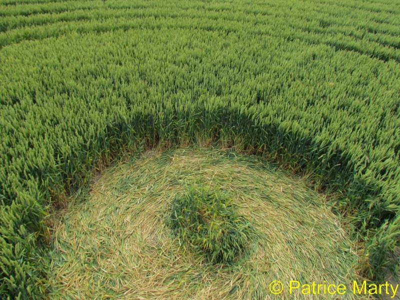 Avebury Trusloe, Wiltshire crop circle, aerial photo 152