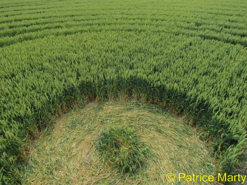 Avebury Trusloe, Wiltshire crop circle, aerial photo 156