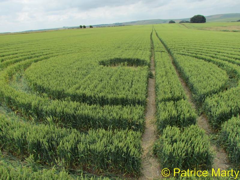 Avebury Trusloe, Wiltshire crop circle, aerial photo 155