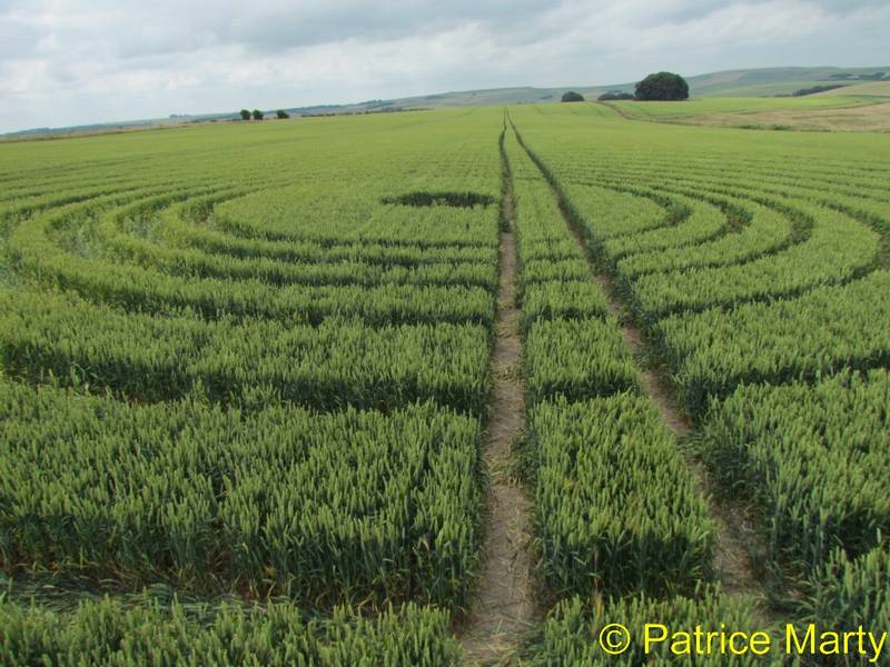 Avebury Trusloe, Wiltshire crop circle, aerial photo 154