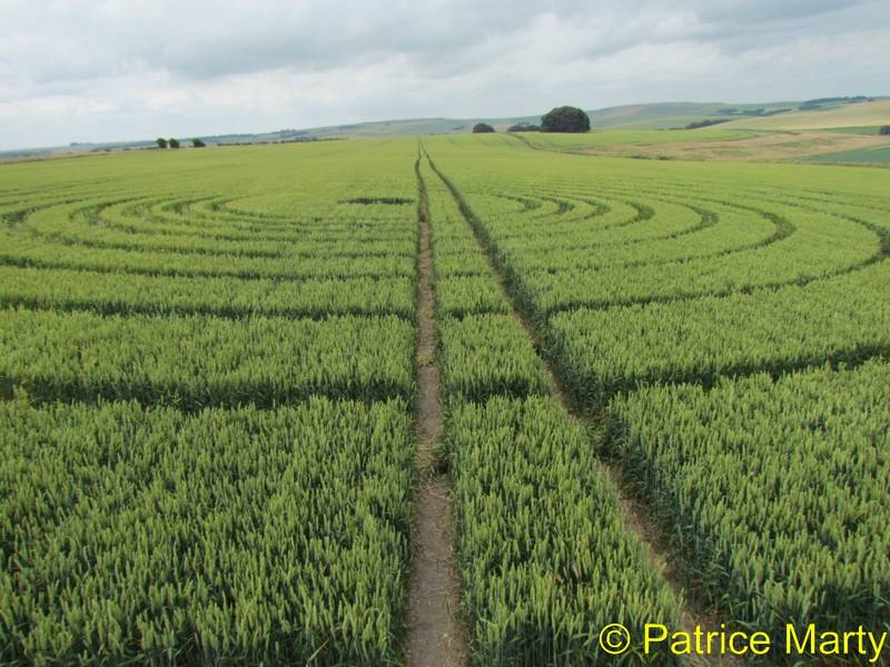 Avebury Trusloe, Wiltshire crop circle, aerial photo 153