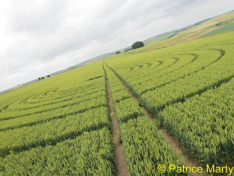 Avebury Trusloe, Wiltshire crop circle, aerial photo 157