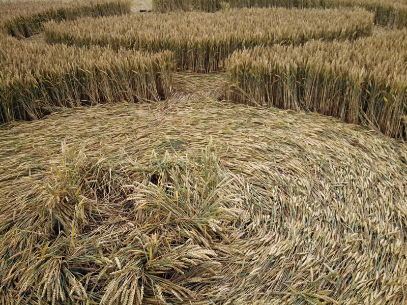 Roundway Hill, Wiltshire crop circle, aerial photo 17
