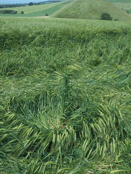 Silbury Hill, Wiltshire crop circle, aerial photo 43
