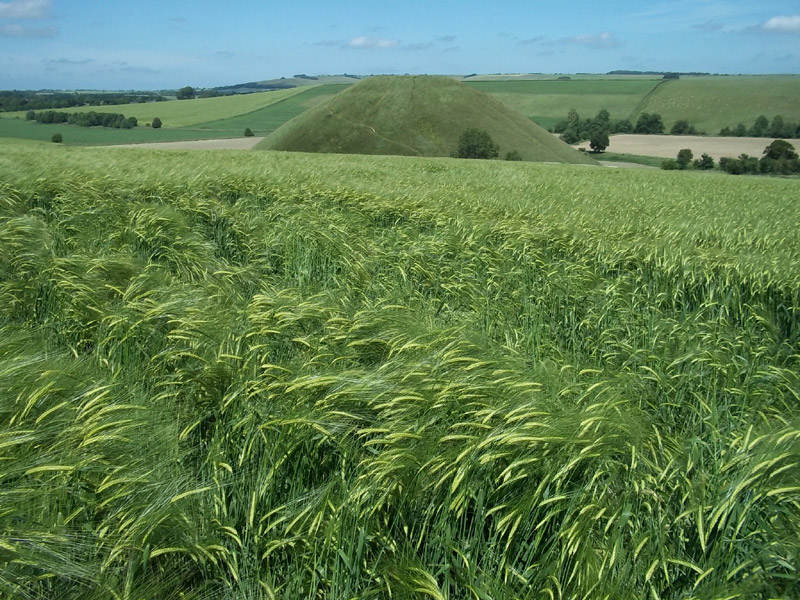 Silbury Hill, Wiltshire crop circle, aerial photo 38