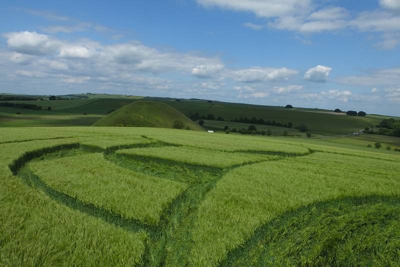 Silbury Hill, Wiltshire crop circle, aerial photo 15