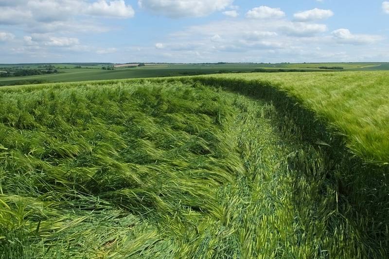 Silbury Hill, Wiltshire crop circle, aerial photo 17