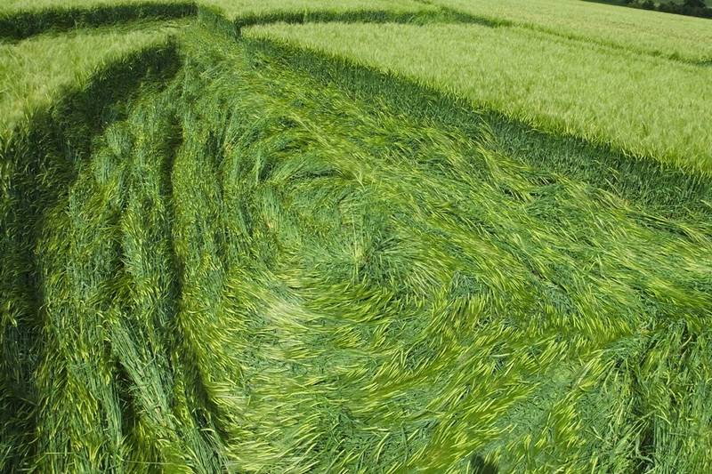 Silbury Hill, Wiltshire crop circle, aerial photo 16