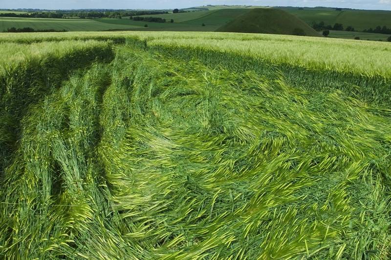 Silbury Hill, Wiltshire crop circle, aerial photo 18