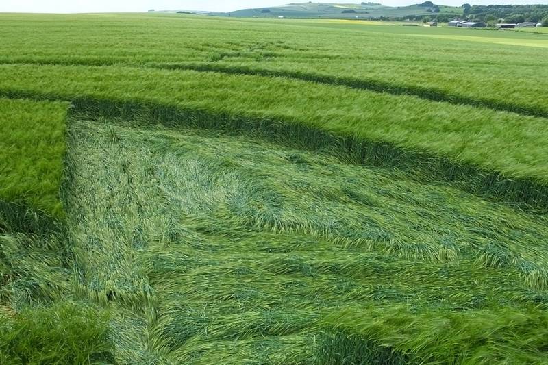 Silbury Hill, Wiltshire crop circle, aerial photo 22