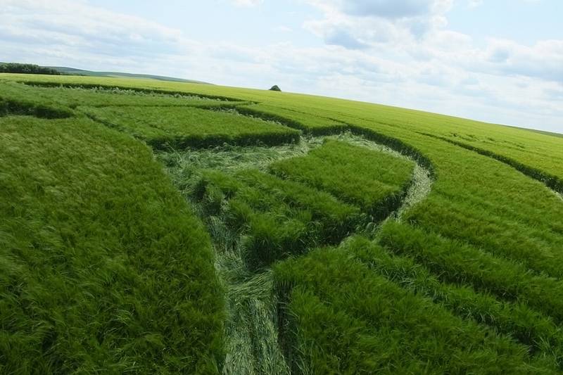 Silbury Hill, Wiltshire crop circle, aerial photo 19