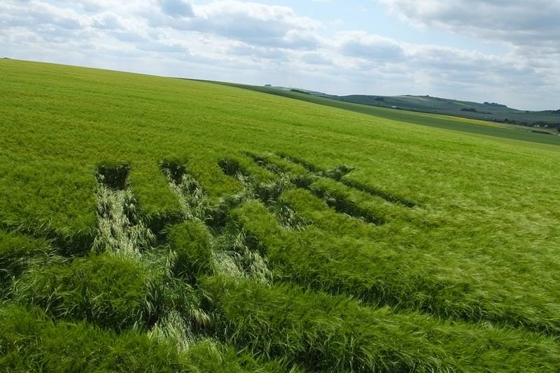 Silbury Hill, Wiltshire crop circle, aerial photo 23