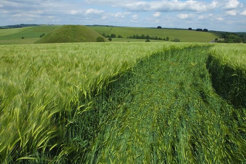 Silbury Hill, Wiltshire crop circle, aerial photo 27