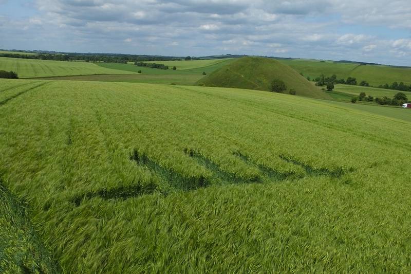 Silbury Hill, Wiltshire crop circle, aerial photo 26