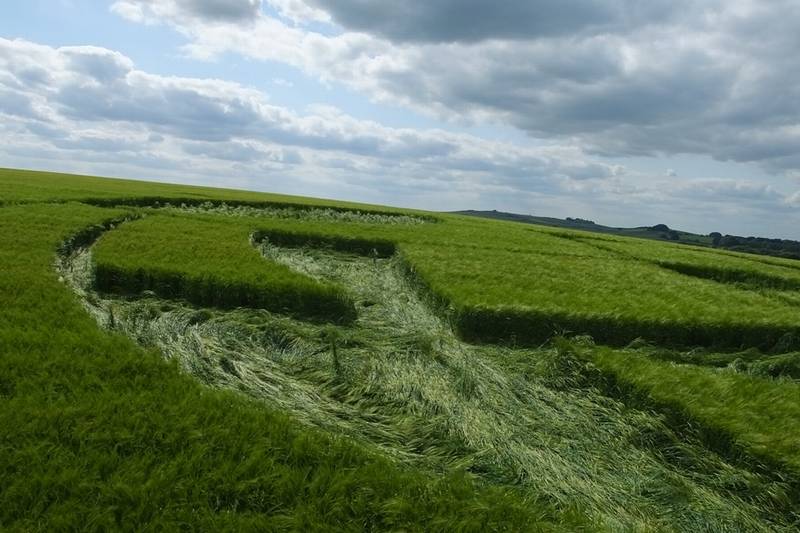 Silbury Hill, Wiltshire crop circle, aerial photo 25