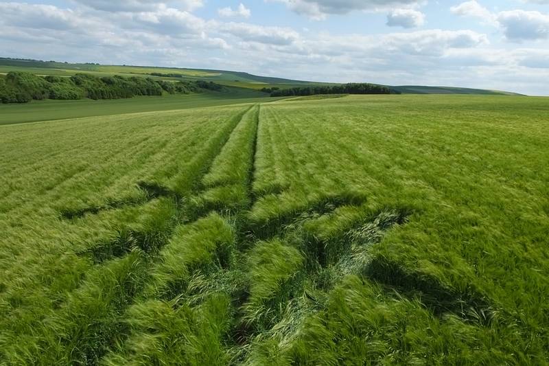 Silbury Hill, Wiltshire crop circle, aerial photo 24