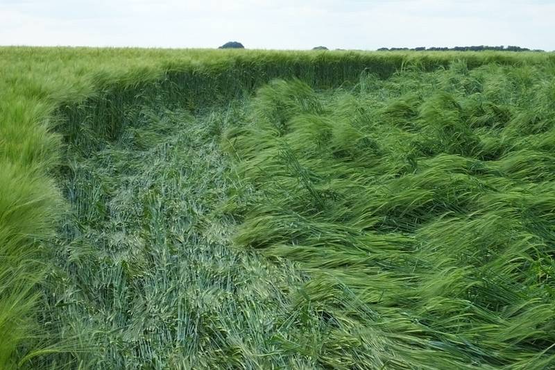 Silbury Hill, Wiltshire crop circle, aerial photo 31
