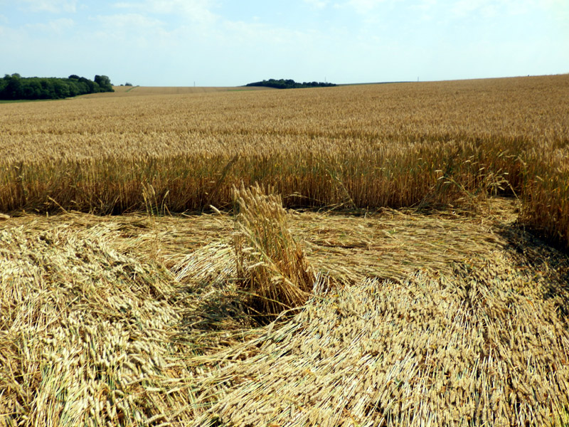 Stonehenge, Wiltshire crop circle, aerial photo 56