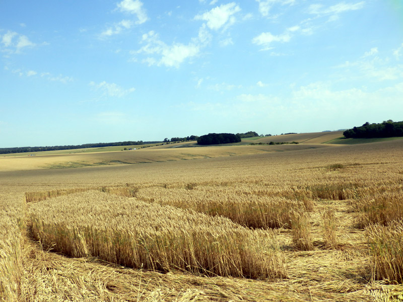 Stonehenge, Wiltshire crop circle, aerial photo 55