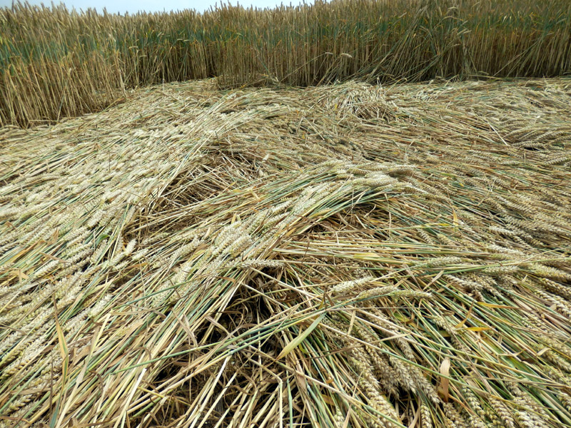 Stonehenge, Wiltshire crop circle, aerial photo 53