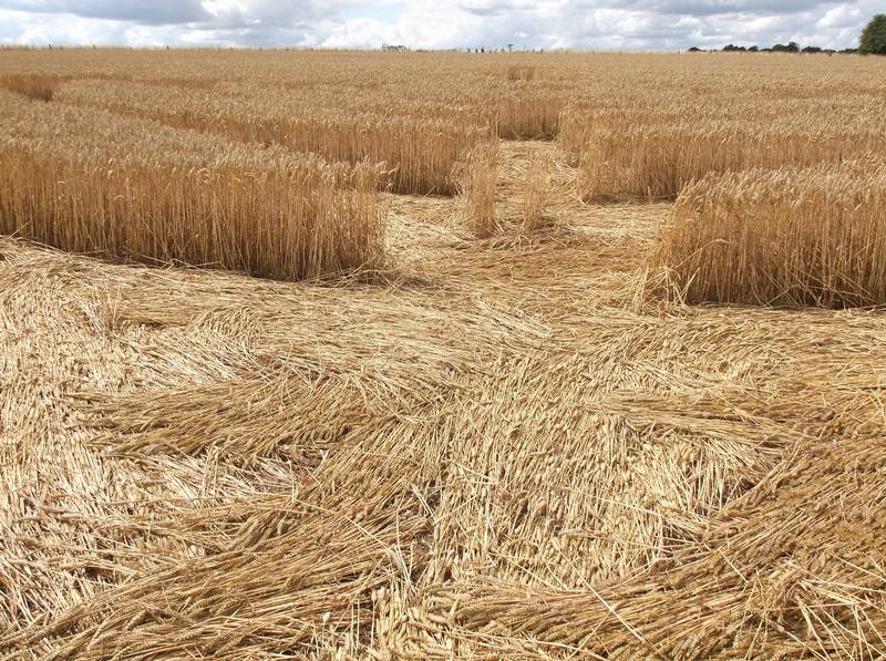 Stonehenge, Wiltshire crop circle, aerial photo 71