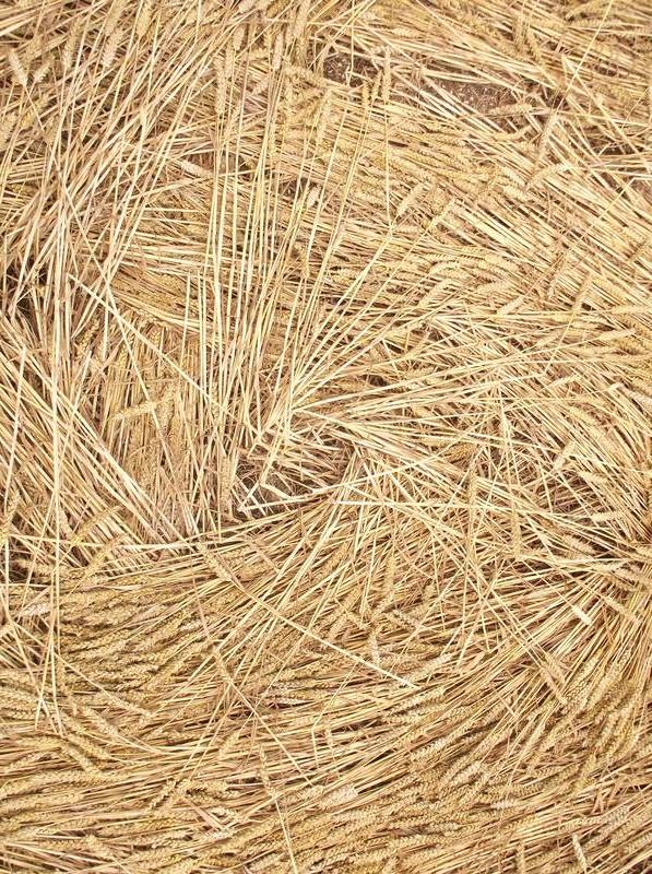 Stonehenge, Wiltshire crop circle, aerial photo 69