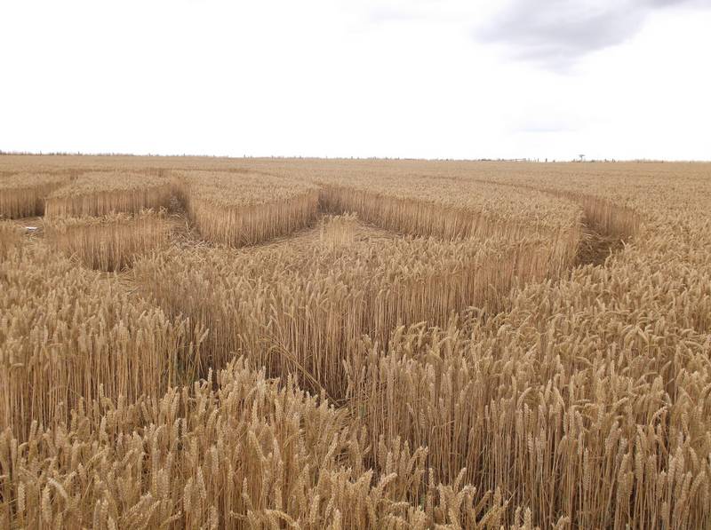 Stonehenge, Wiltshire crop circle, aerial photo 68