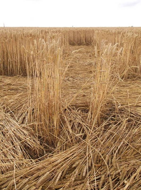 Stonehenge, Wiltshire crop circle, aerial photo 64