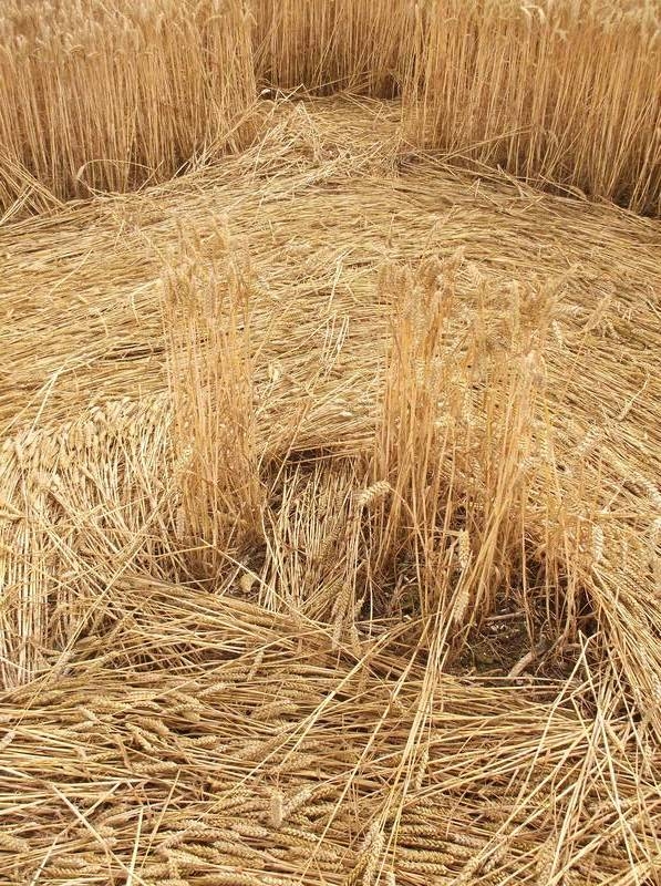 Stonehenge, Wiltshire crop circle, aerial photo 60