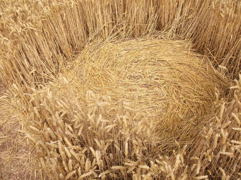 Stonehenge, Wiltshire crop circle, aerial photo 61