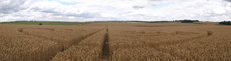 Stonehenge, Wiltshire crop circle, aerial photo 58