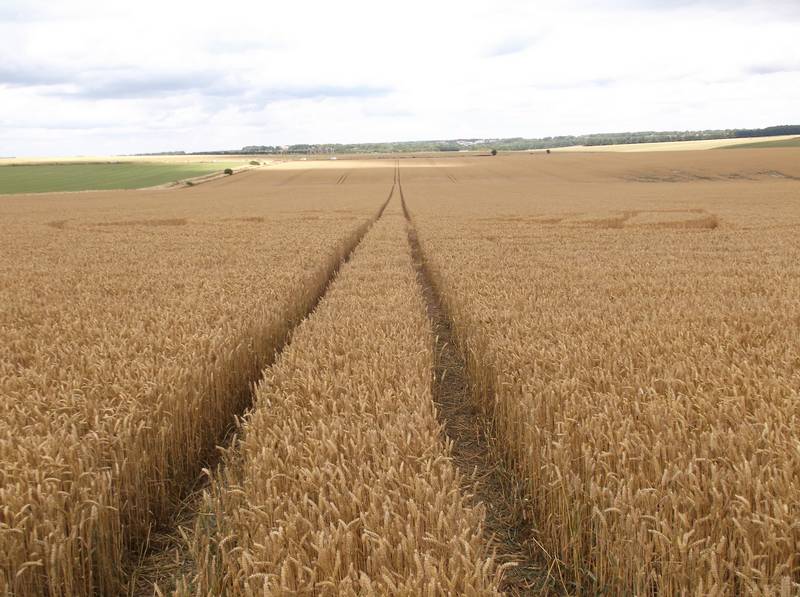 Stonehenge, Wiltshire crop circle, aerial photo 72