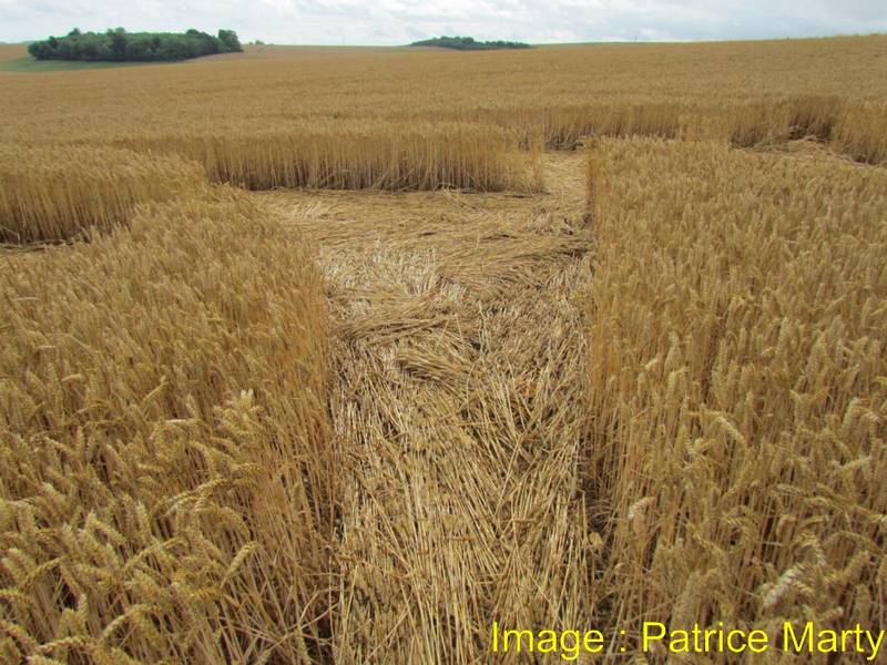 Stonehenge, Wiltshire crop circle, aerial photo 127