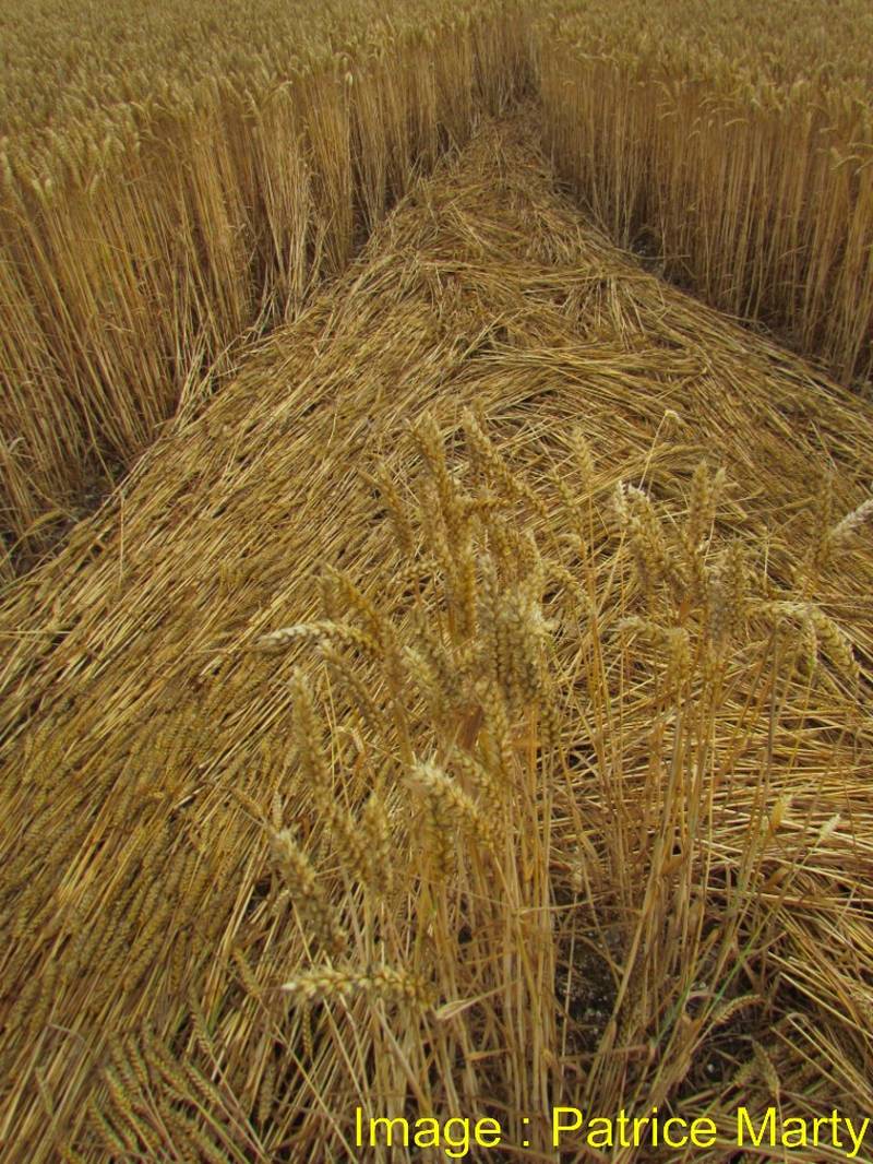 Stonehenge, Wiltshire crop circle, aerial photo 121