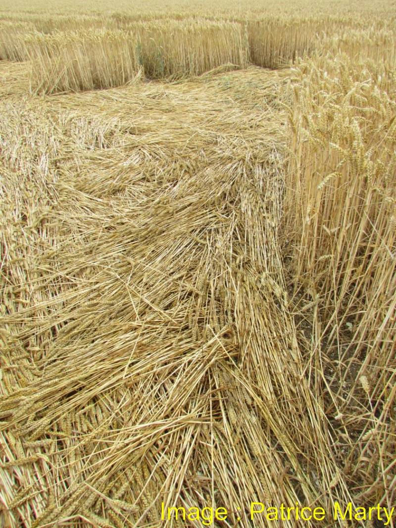 Stonehenge, Wiltshire crop circle, aerial photo 120